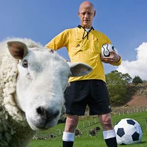 Baarmy Sheep - World Cup