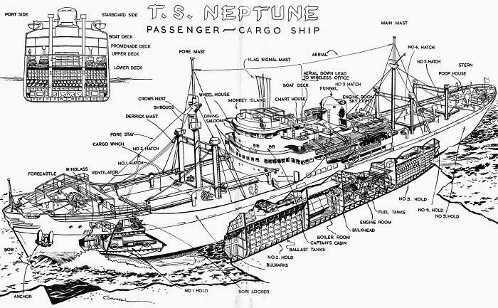 TS Neptune Cutaway by Bruce Cornwell