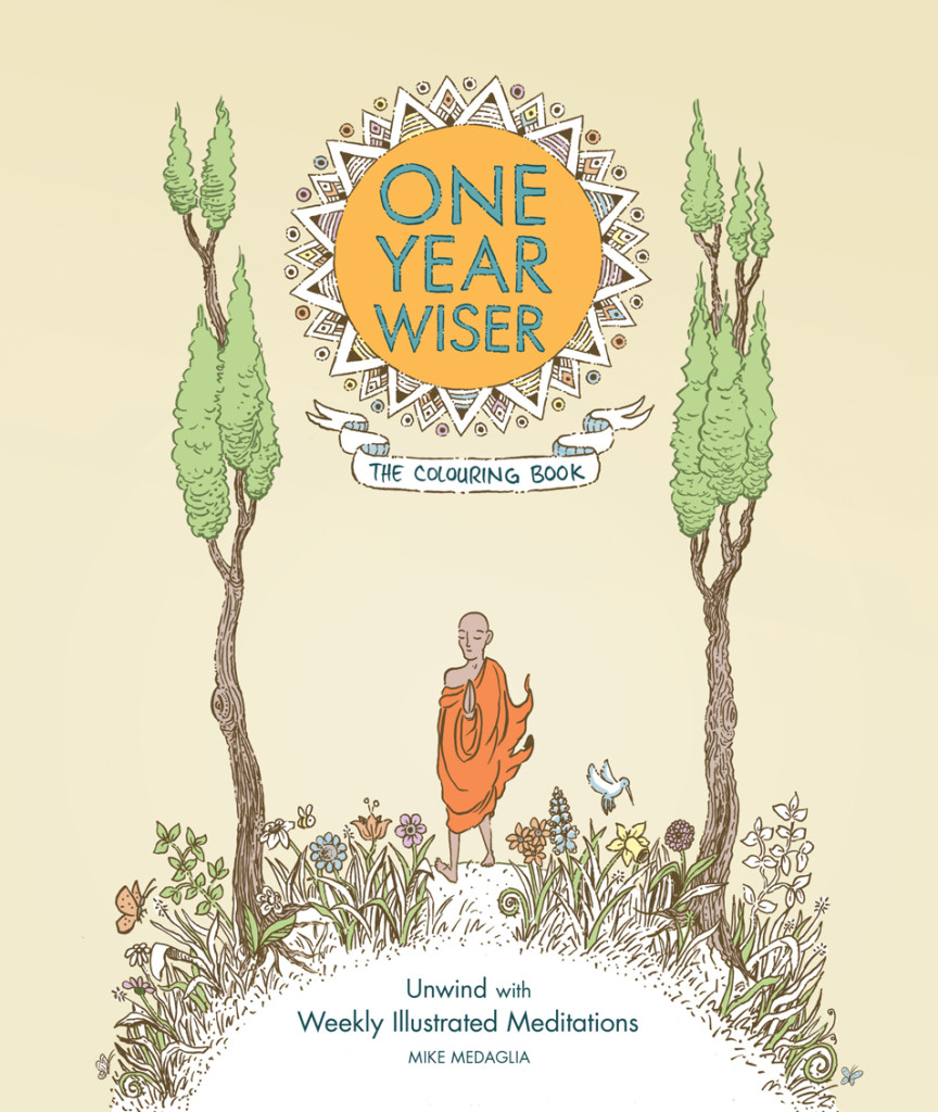 One Year Wiser Colouring Book - Cover
