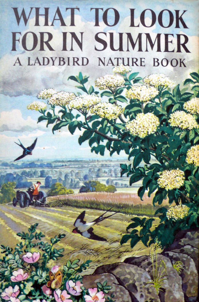 The cover of What to Look For in Summer, a Ladybird Book published in 1960. Art by Charles Tunnicliffe. © Ladybird Books Ltd.