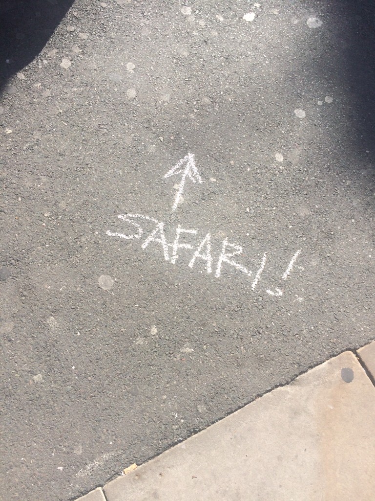 Safari Festival 2015 - Chalk Sign