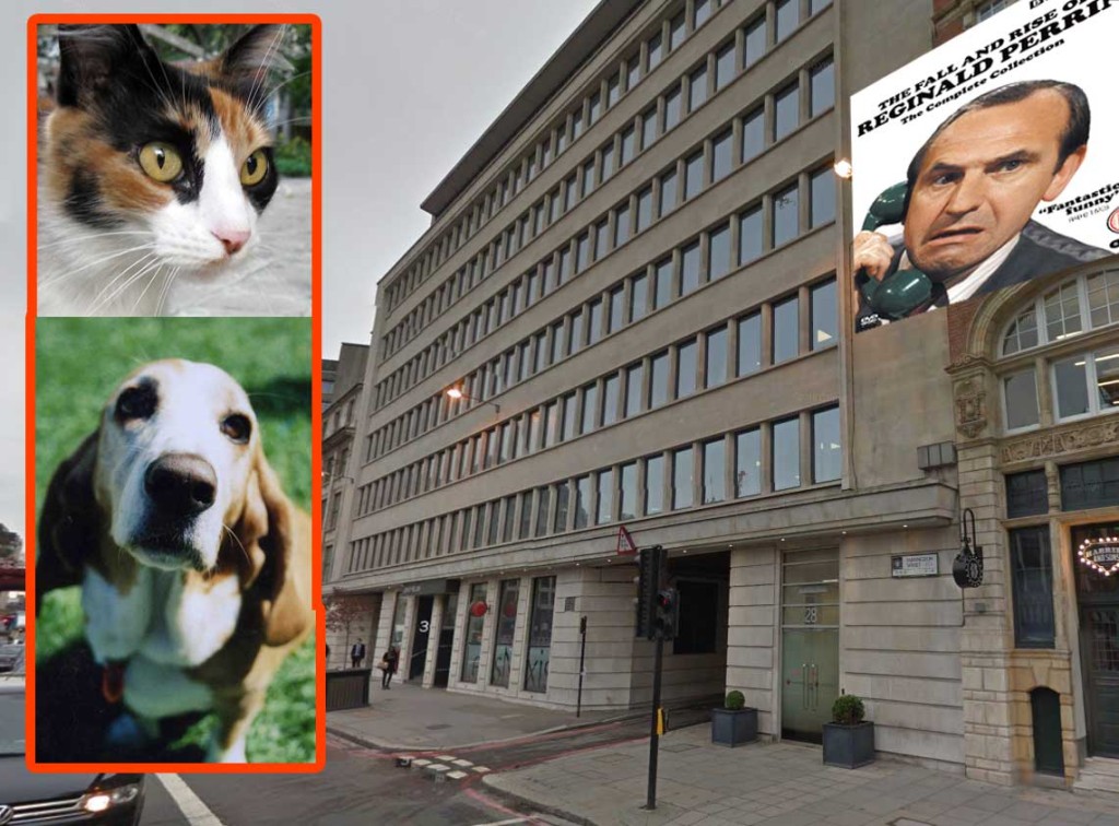 Fleetway House, with"Bear Alley" in the foreground. The calico cat and Basset hound images are not mine (sourced from MorgueFile).