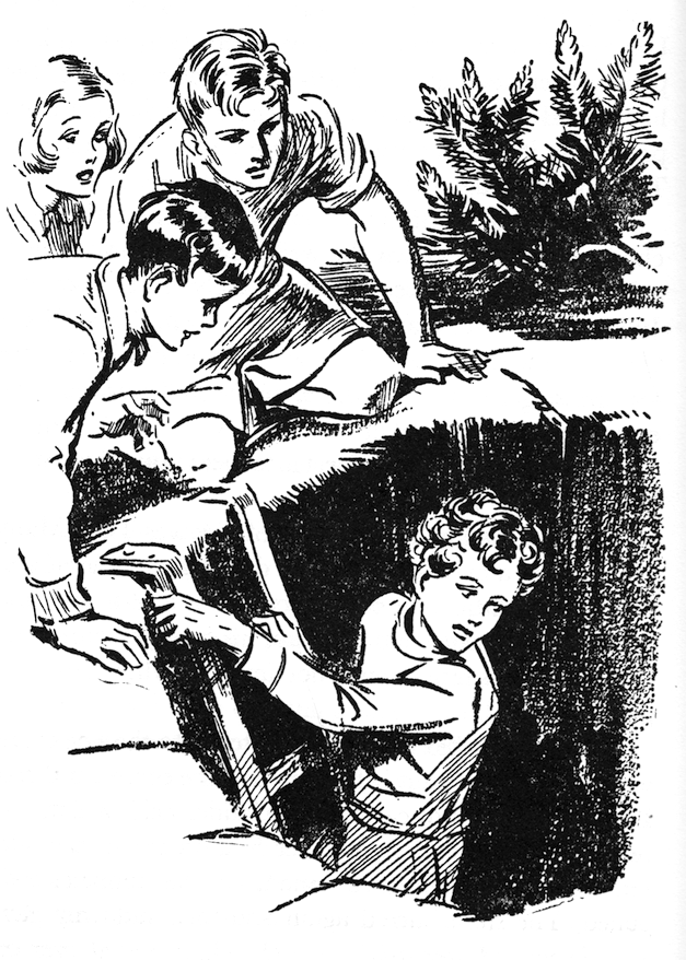 An illustration for the first Famous Five novel, Five On A Treasure Island illustration by Eileen Soper.