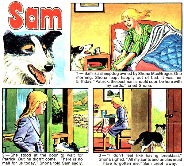 Sam The Sheepdog Twinkle 545 - cover dated 1st July 1978