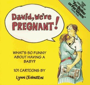 David We're Pregnant - Cover