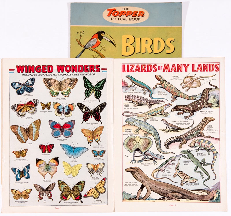 Topper Picture Book 1 (1954). Large format featuring Birds, Beasts, Fishes and Insects