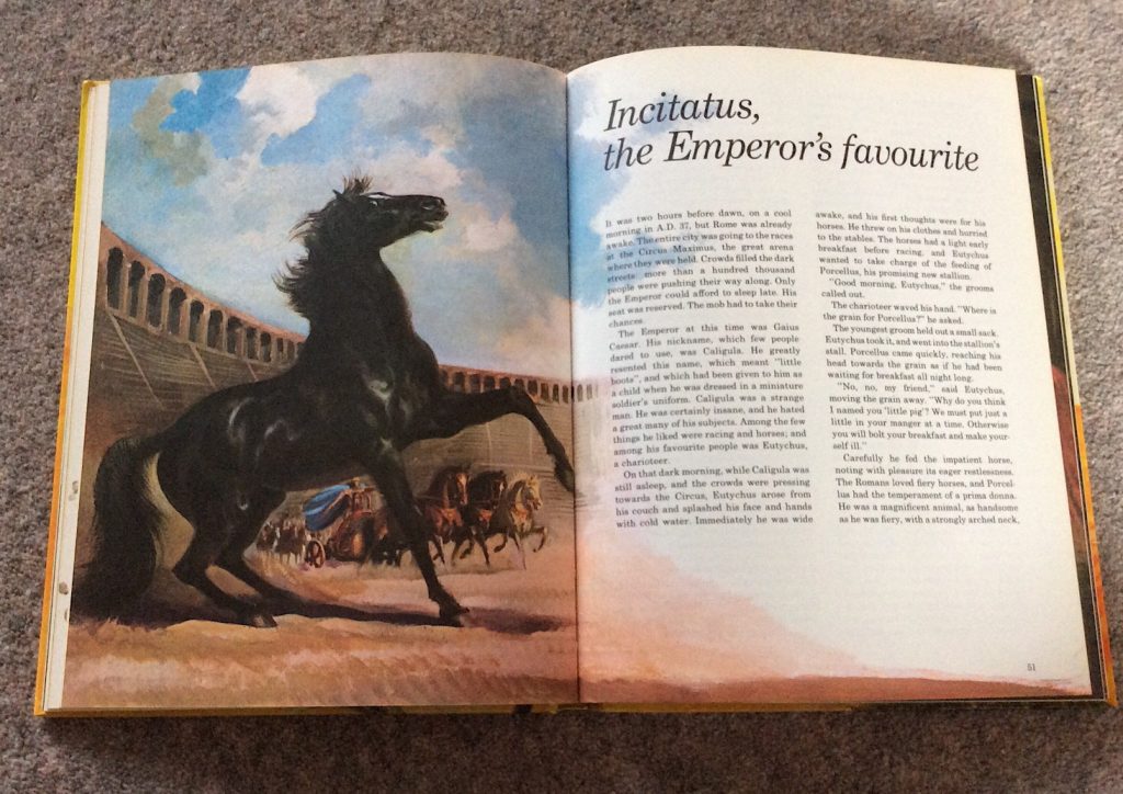 Famous and Fabulous Horses by Lucy Berman Illustrated by Harry Bishop