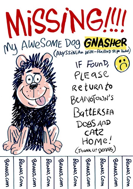 Missing Gnasher Poster 2018