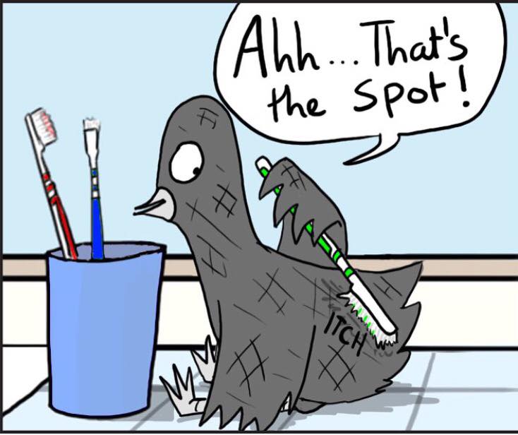 Skanky Pigeon, Zoom Rockman's best-known character