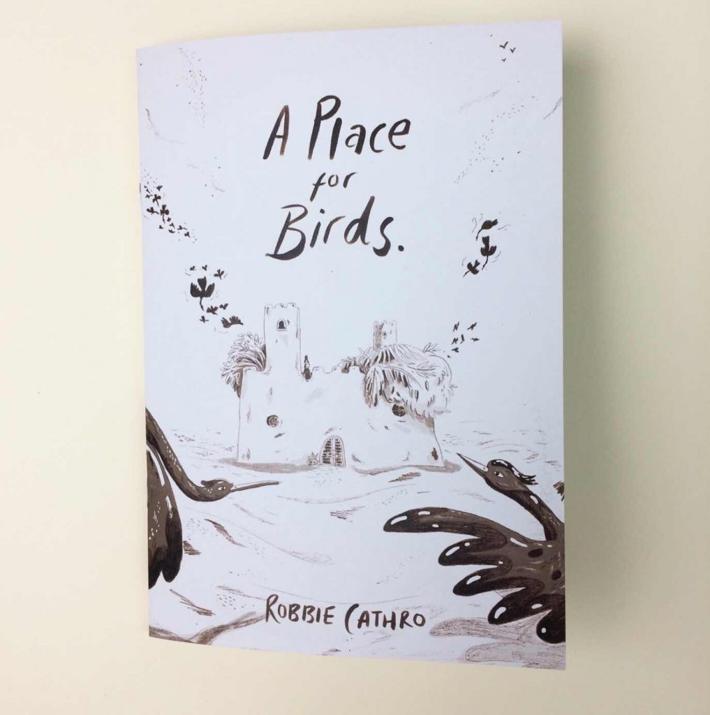 A PLace for Birds by Robbie Cathro - Cover