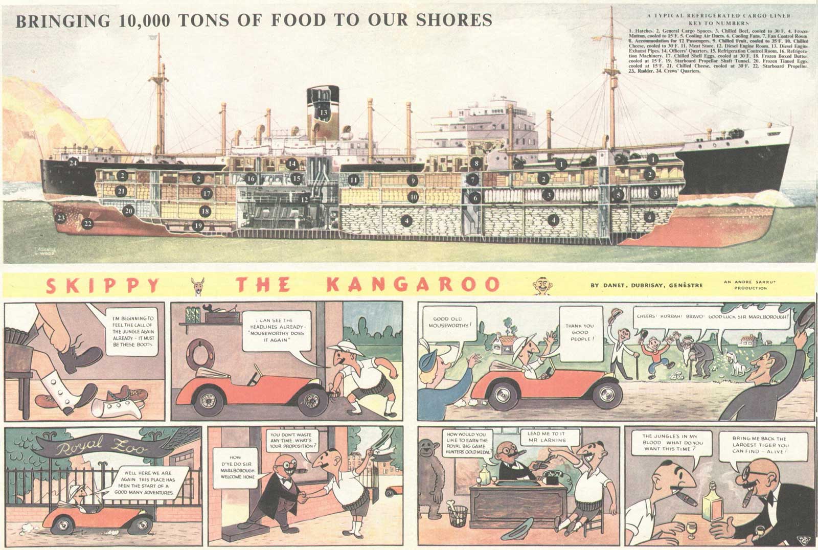 Whatever Happened to Eagle’s “Skippy the Kangaroo”? – downthetubes.net