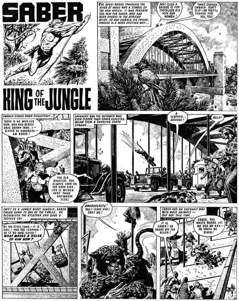 Saber: King of the Jungle, by Denis McLoughlin from Tiger and Hurricane cover dated 6th April 1968.