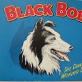 Black Bob, The Dandy Wonder Dog
