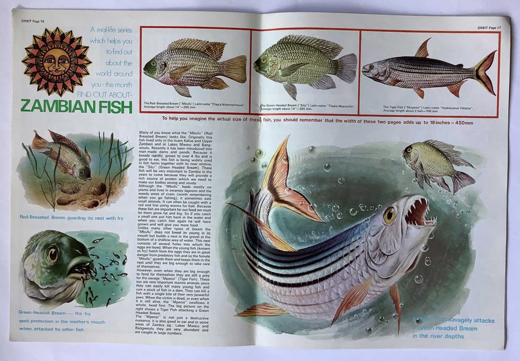 One of the feature spreads for Orbit Issue One, about Zambian fish