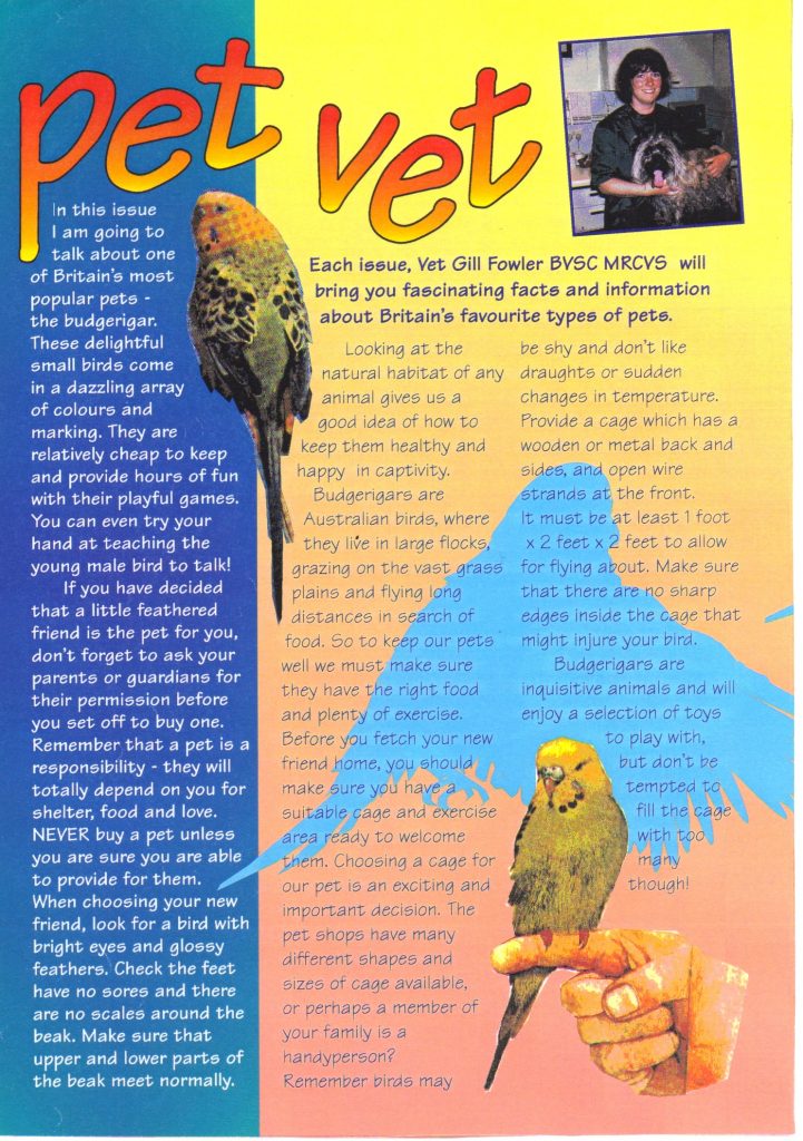 "Pet Tails" Budgie Feature