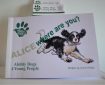 Alice Where Are You? By Anne Holley, illustrated by Barrie Mitchell
