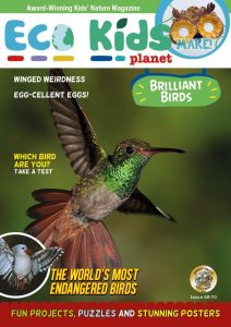 Eco Kids Planet Magazine - August 2020