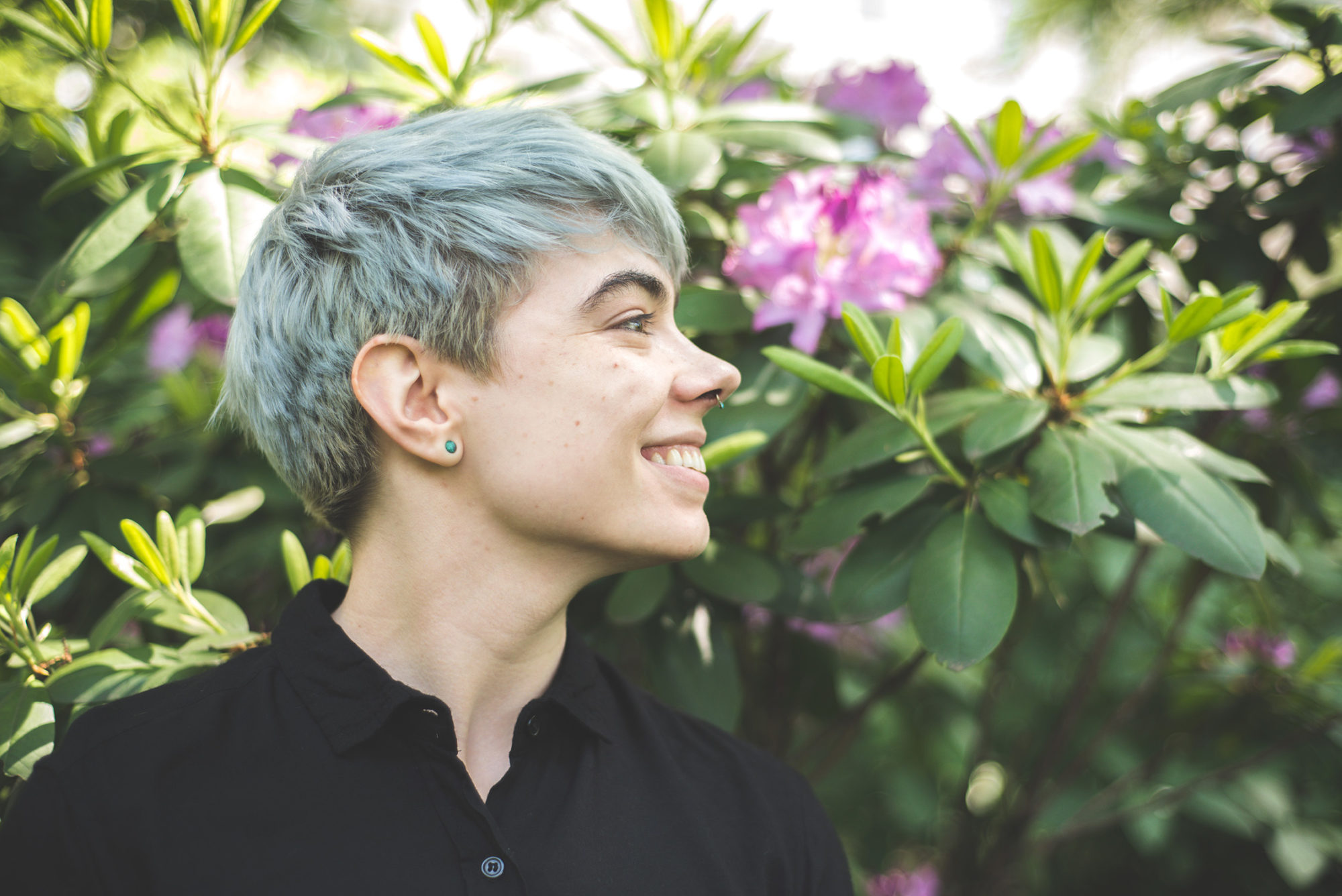 Silver Sprocket to distribute award-winning Hazel Newlevant comics – downthetubes.net