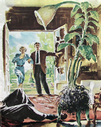 An illustration for the second chapter in Collier's adaptation of The Day of the Triffids, published as "Revolt of the Triffids". Art by Fred Banbery