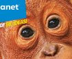Animal Planet magazine (2021) SNIP