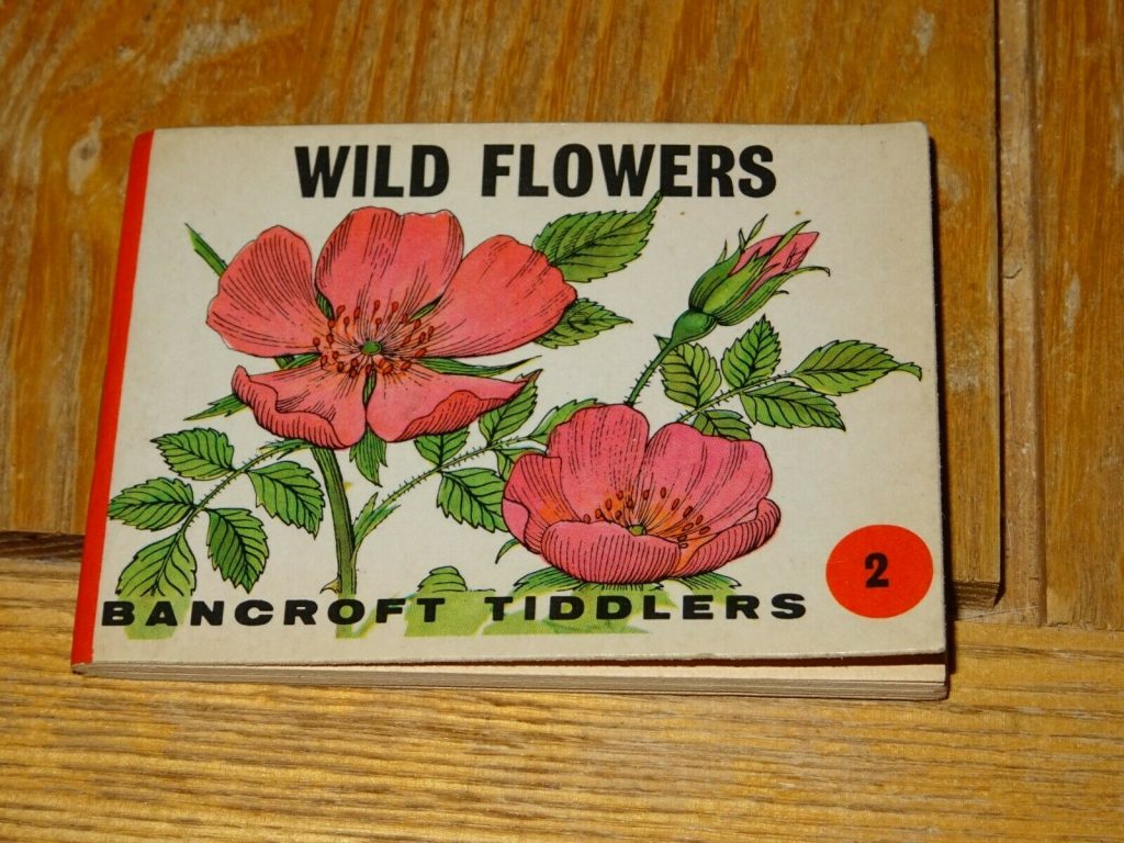 Bancroft Tiddlers 2 Wild Flowers