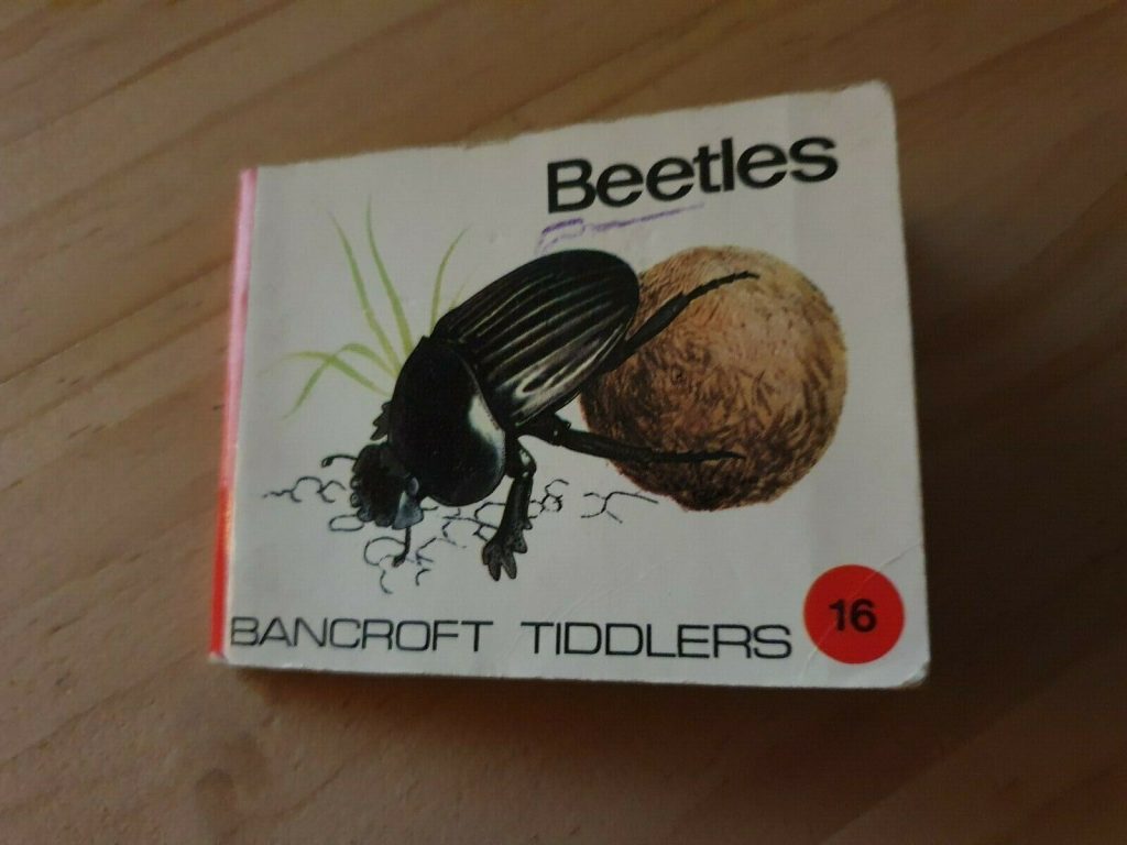 Bancroft Tiddlers 16 - Beetles