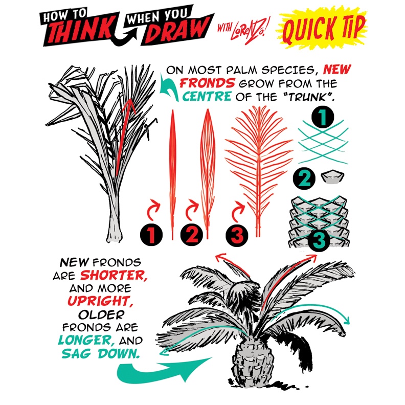 How to Think When you draw Palm trees by Lornezo Etherington