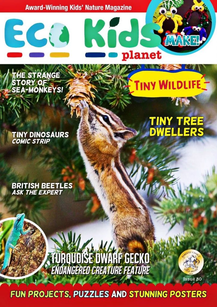 Eco Kids Planet Special Issue 80