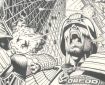 The Brian Bolland Apex Edition SNIP