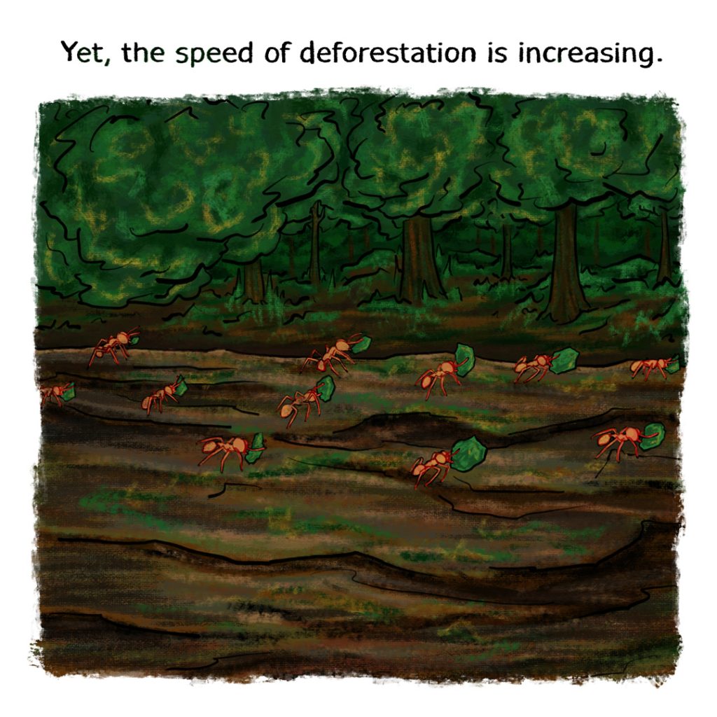 A Monkey’s Guide to Deforestation by Sayra Begum