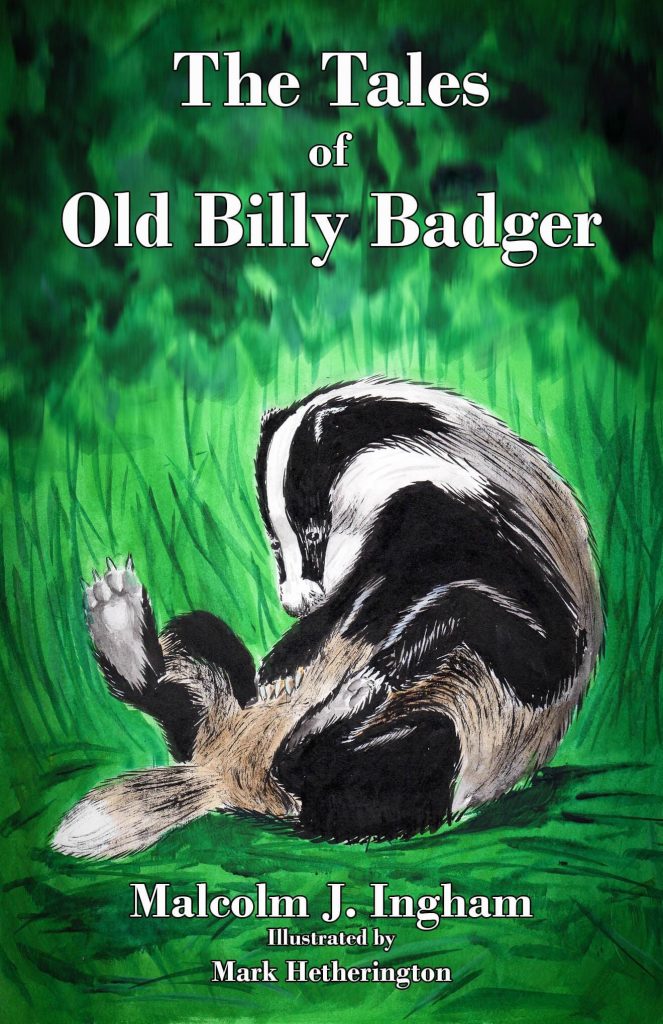 The Tales of Old Billy Badger  - art by Mark Hetherington