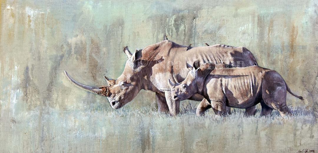 Rhinos by Neal Griffin