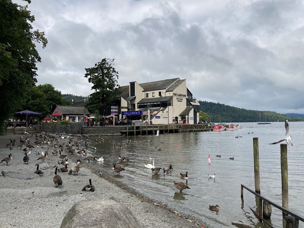 Sinister Ducks in Bowness