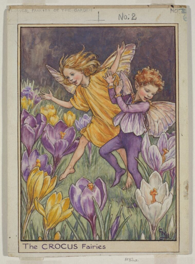 The Crocus Fairies. From Flower Fairies of the Spring © The Estate of Cicely Mary Barker 1944