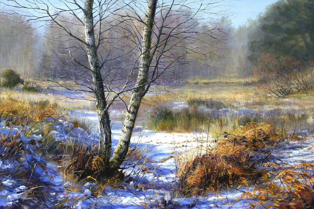 New Forest Snow - art by Colin Richens
