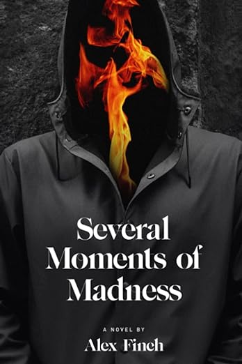Several Moments of Madness by Alex Finch