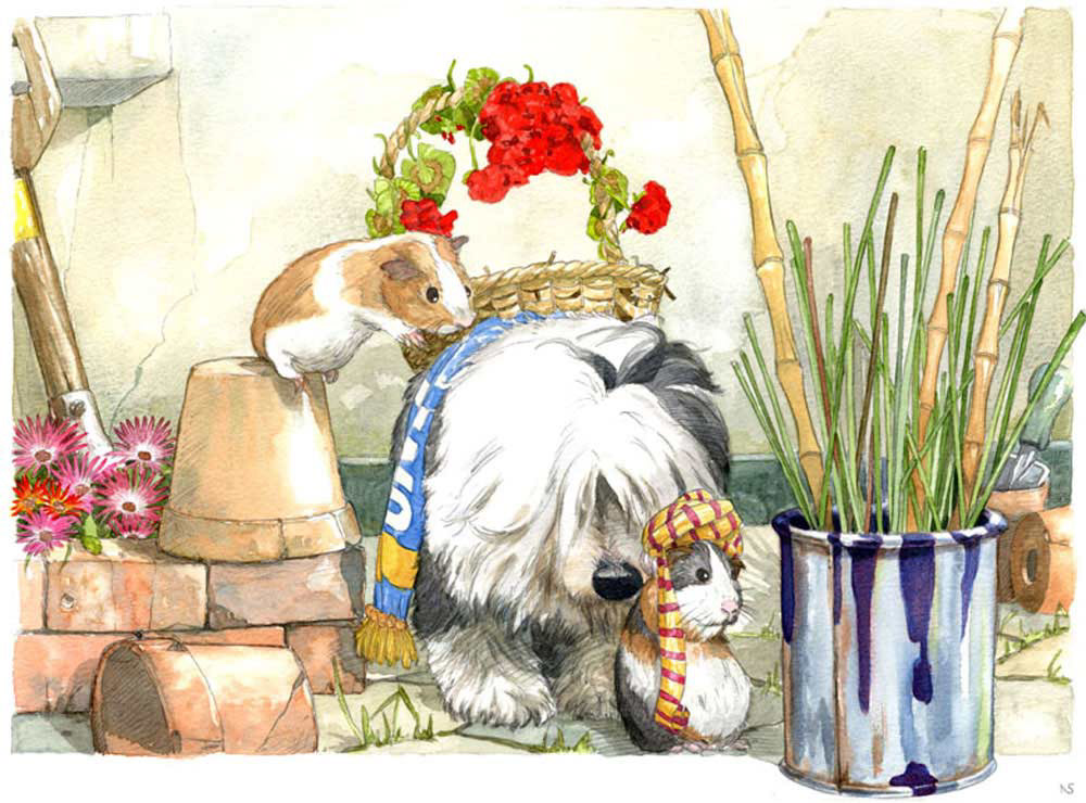 One of Nick Spender's favourite subjects - fluffy dog and mad Guinea Pigs....