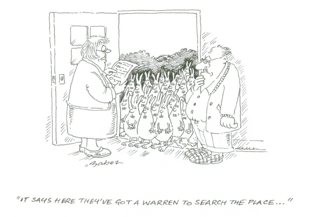 Rabbit Cartoon by Phil Baber - "It says here they've got a warren to search this place"