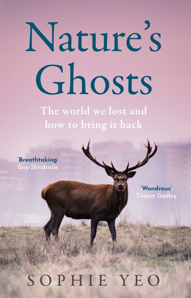 Nature’s Ghosts: The World We Lost and How to Bring it Back, Sophie Yeo (HarperNorth/HarperCollins)