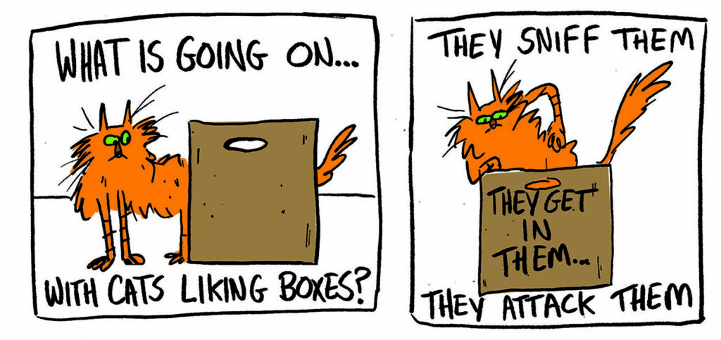 You Get What You Get (Fred Egg Comics 2024, published and written by David Robertson) - “Cat Box”, art by Claire Brown