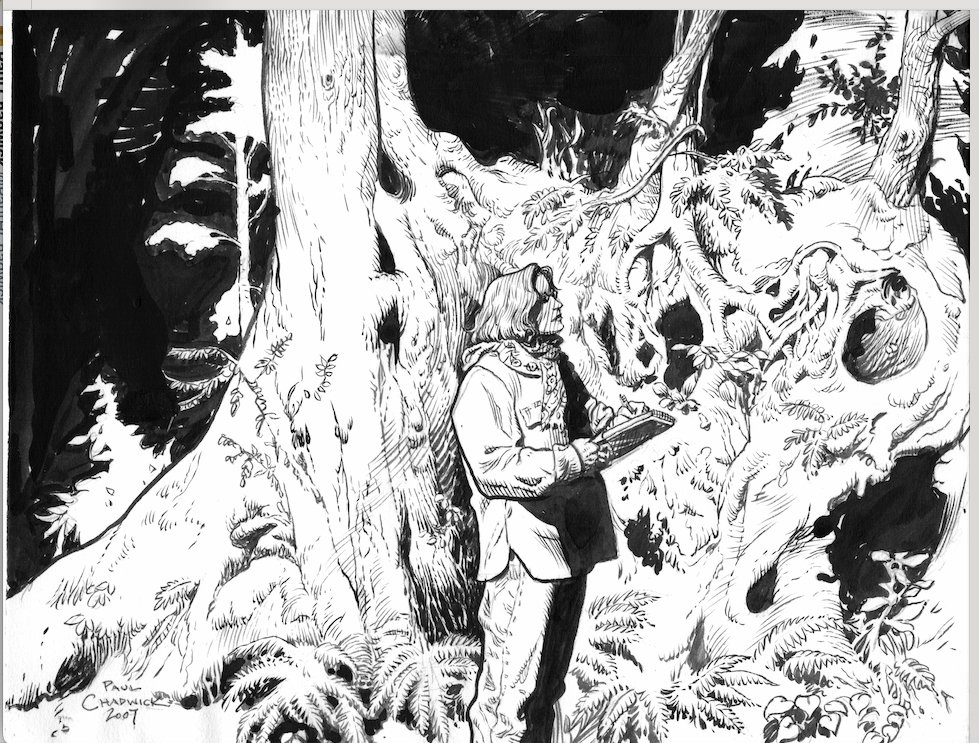 Art by Paul Chadwick