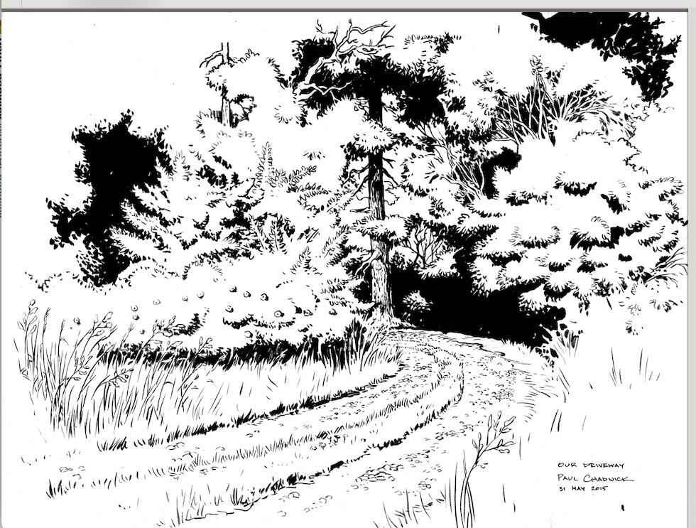 Art by Paul Chadwick