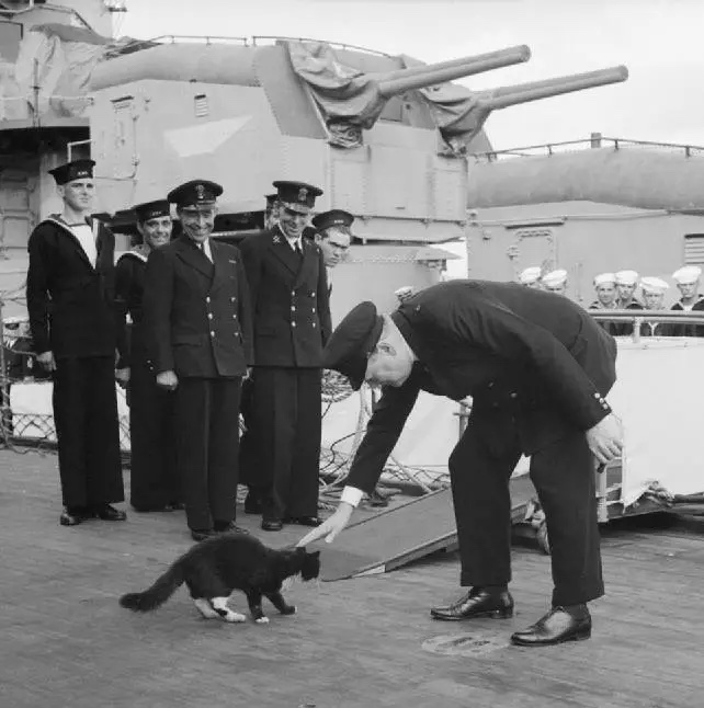 Prime Minister Winston Churchill pets ship’s cat Blackie aboard the battleship HMS Prince of Wales – although judging from the size of his tail, the cat doesn’t seem to be appreciating the attention! | Image: Wikimedia