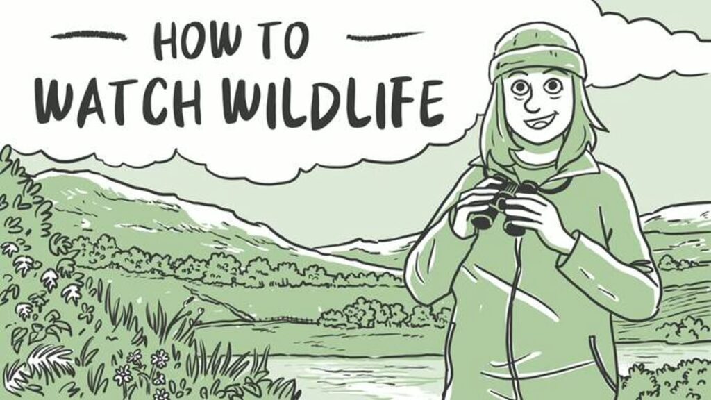 How to Watch Wildlife by Julie Campbell