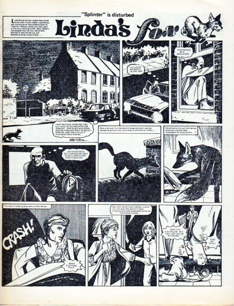 “Linda’s Fox”, for Tammy and Misty, via the A Resource on Jinty © Rebellion Publishing - art by Ron Tiner