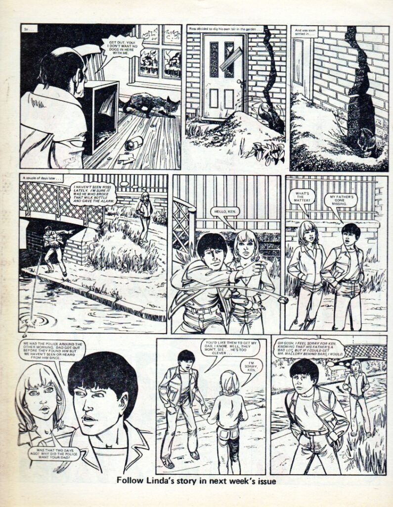 “Linda’s Fox”, for Tammy and Misty, via the A Resource on Jinty © Rebellion Publishing - art by Ron Tiner