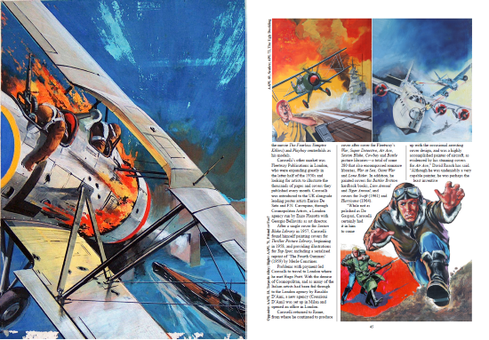 Air Ace Picture Library Companion (2025)