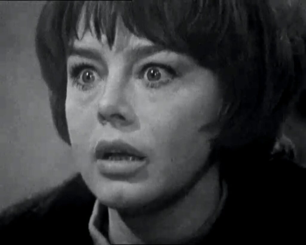 Vendetta: The Running Man (1966)