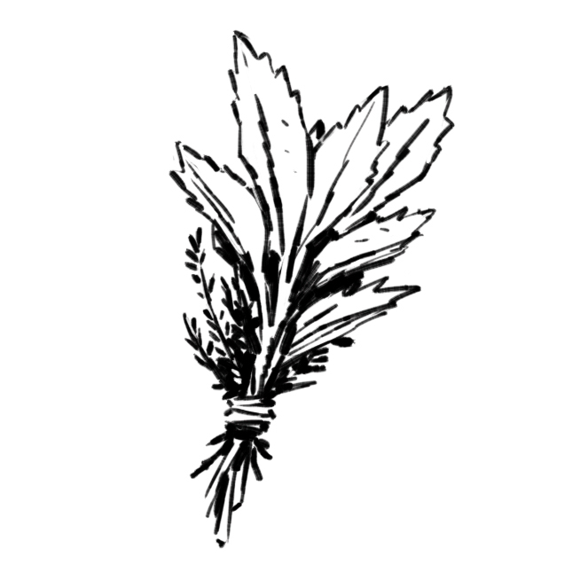 Bones & Betrayals: Silence of the Dead by Erica Marks and Andi Ewington - Herb