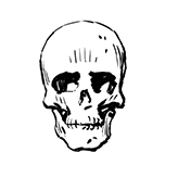 Bones & Betrayals: Silence of the Dead by Erica Marks and Andi Ewington - Skull